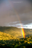 Morgan-Hill_0651