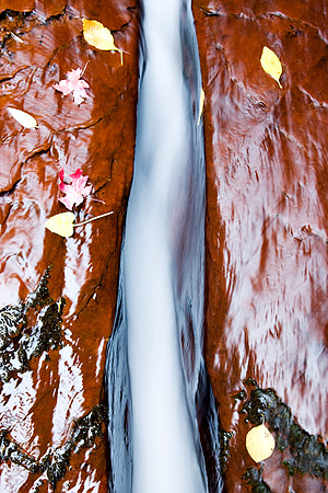Zion-9588
