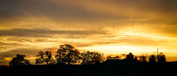 Morgan-Hill_2372