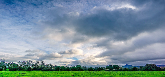 Morgan-Hill_1298