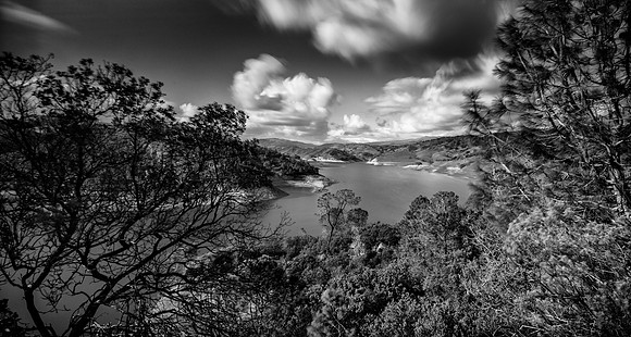 Morgan-Hill_2311