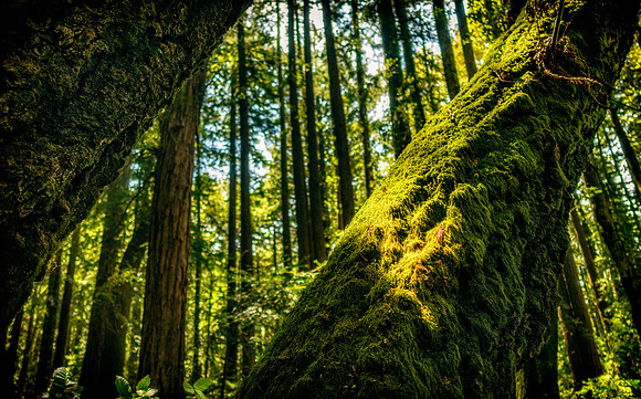 Morgan-Hill-RX_2618