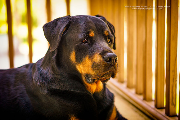Morgan-Hill_4757