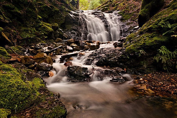 Morgan_Hill_8385