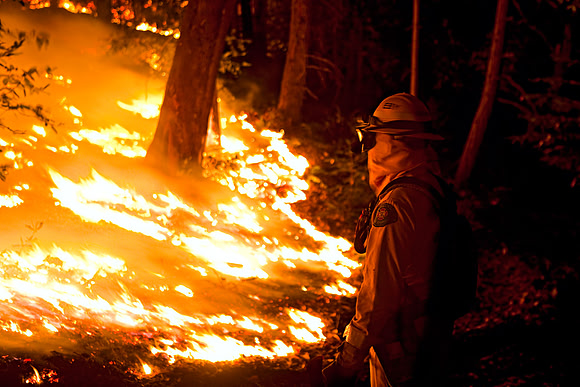 CAL_FIRE_5903