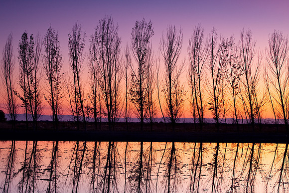 Merced_7987