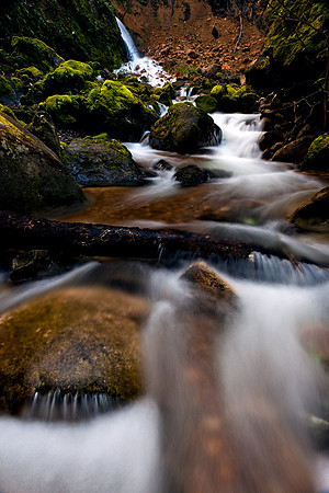 Morgan_Hill-8347