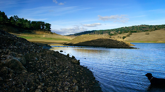 Morgan-Hill_0090