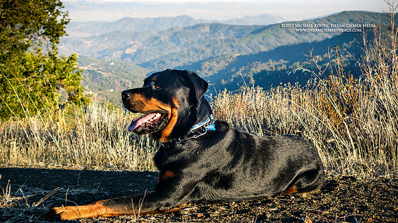 Morgan-Hill_0261