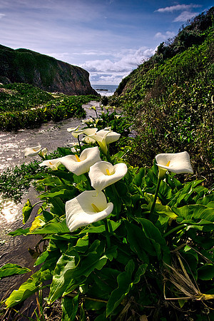 Big_Sur_1377
