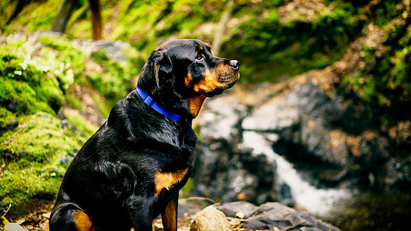 Morgan-Hill_0311