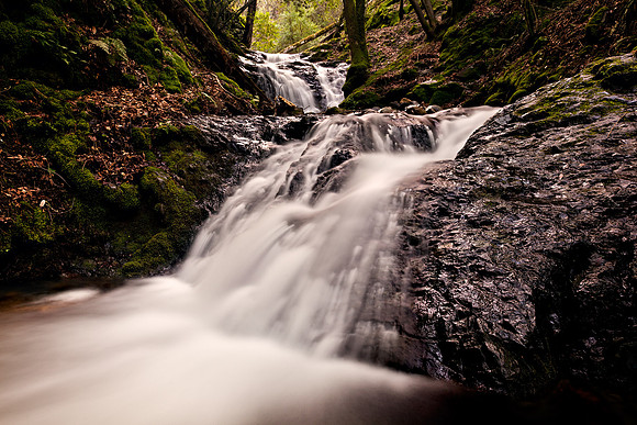 Morgan_Hill_8383