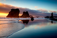 CA-OR_2010_9897