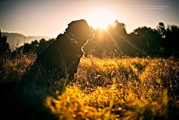 Morgan-Hill_DSC9630