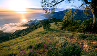 Big-Sur_9794