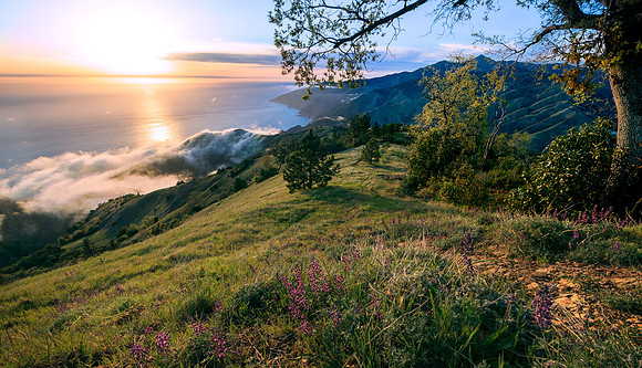 Big-Sur_9794