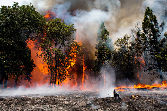 CAL_FIRE_5596