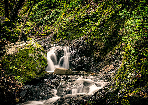Morgan-Hill_0478