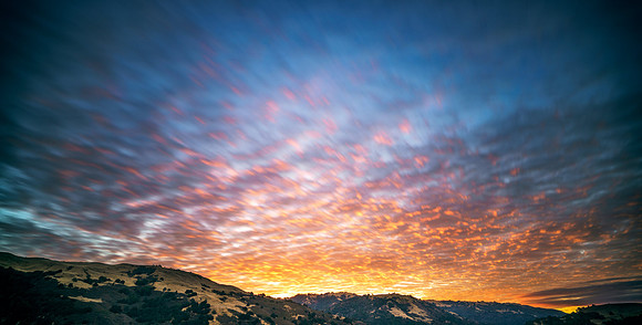 Morgan-Hill_8176