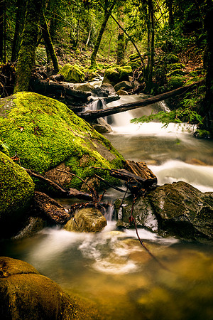 Morgan-Hill_4235