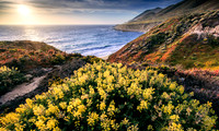 Big-Sur_4600