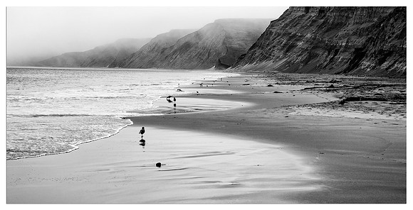 RX-Point-Reyes_0050