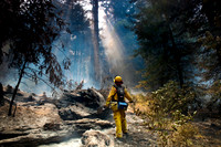 CAL_FIRE_6074