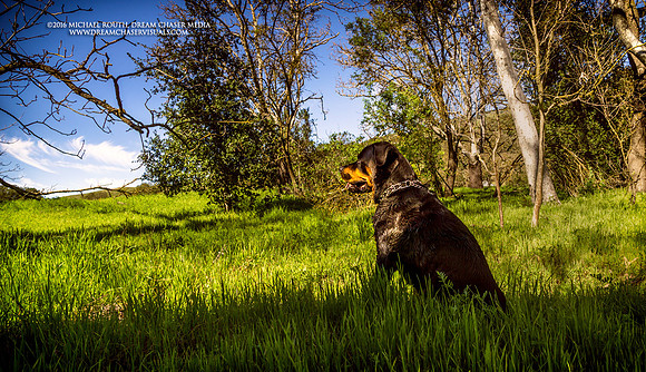 Morgan-Hill_7773