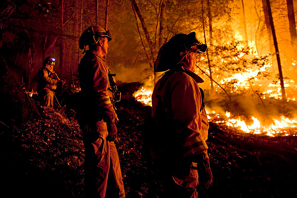 CAL_FIRE_5893