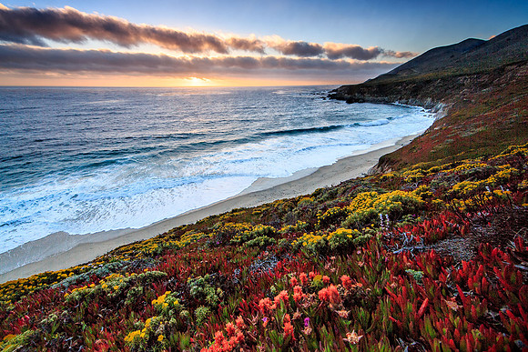 Big-Sur_7279