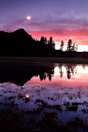 Yosemite_3232