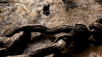 Yosemite_3215_cropped