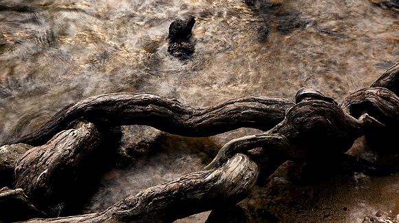 Yosemite_3215_cropped