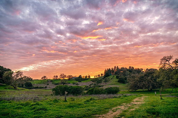Morgan-Hill_1539