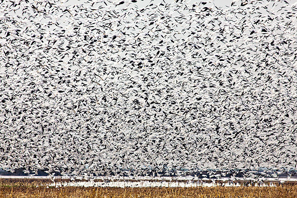 Merced_0448