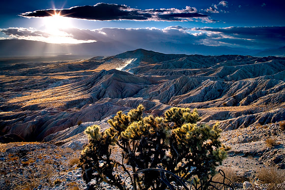 Borrego_K0U3165
