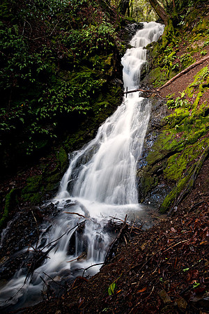 Uvas_Canyon_8509