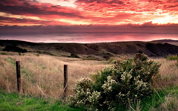 Big_Sur20B
