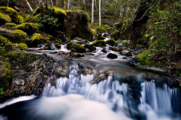 Morgan_Hill_8340