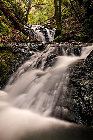 Morgan_Hill_8384