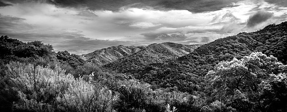 Morgan-Hill-IR_0244