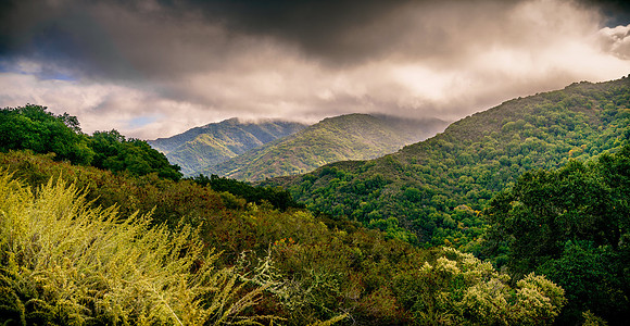 Morgan-Hill_8903