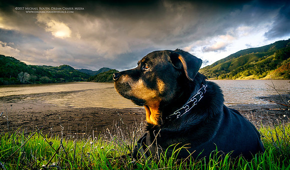 Morgan-Hill_7682