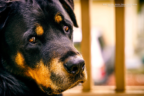 Morgan-Hill_09966