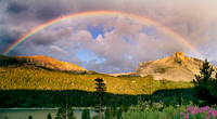 Yosemite_6347