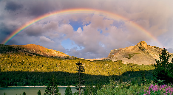 Yosemite_6347