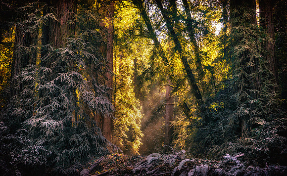 Morgan-Hill_1705