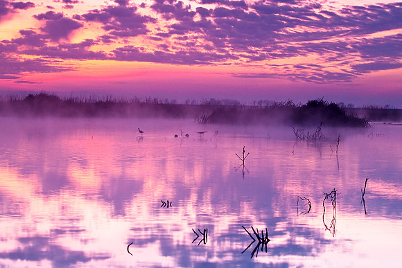 Merced_0135