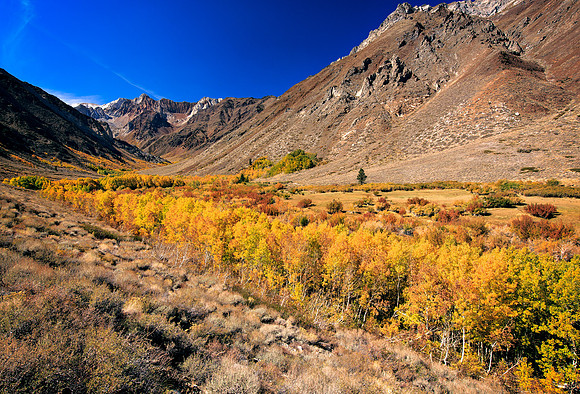 Sierra_2587