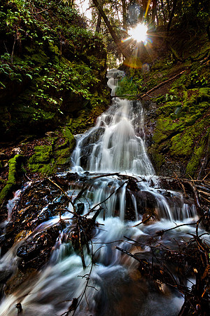 Uvas_Canyon_8504